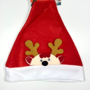 Gorro de navidad